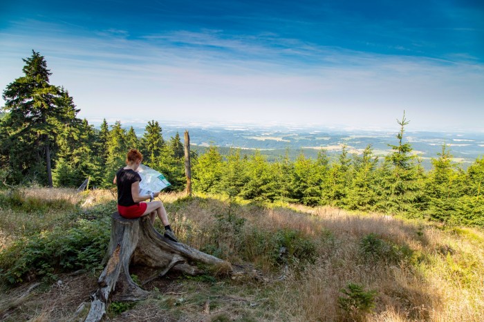 Family vacation attractions