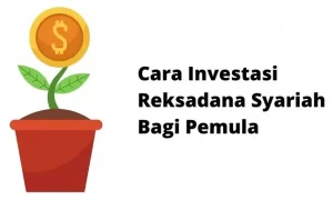 Cara Investasi Reksadana Untuk Pemula