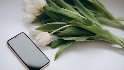 Cara Menghilangkan Iklan di HP Vivo Melalui Menu Settings dan Browser