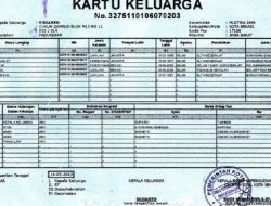 3 Aplikasi Cek KK Online Sekaligus Tutorial Melakukannya