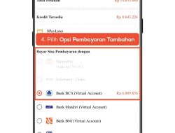 Cara Bayar SpayLater Shopee, Bisa Langsung dari Fitur ShopeePay