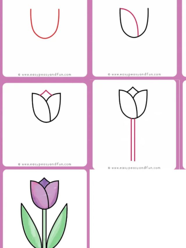 Cara Menggambar Bunga Tulip (Sumber: Liputan6)