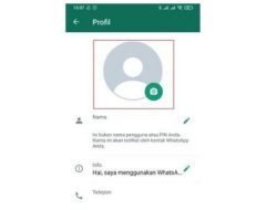 3 Cara Mudah Membuat Foto Profil WhatsApp Kosong