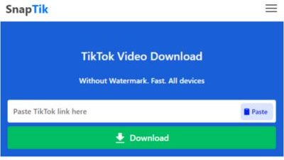 Cara Menggunakan Aplikasi Snaptik, Download Video TikTok Tanpa Watermark (Sumber: Snaptik)