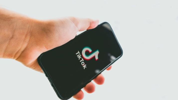 Cara Download Video TikTok Tanpa Watermark (Sumber: Yandex)